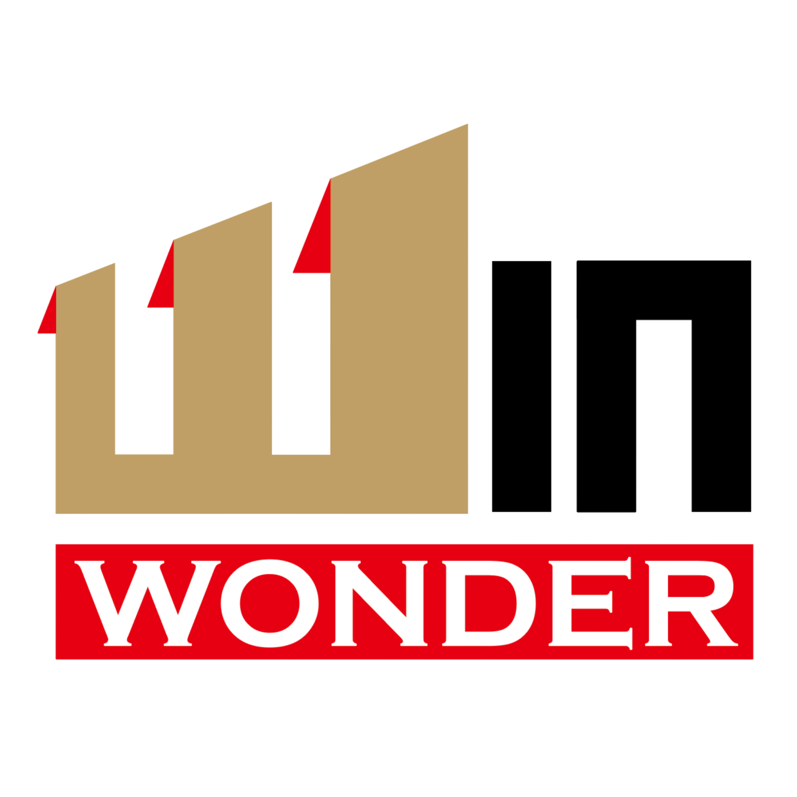 LOGO PT WONDER INFINI NUSA
